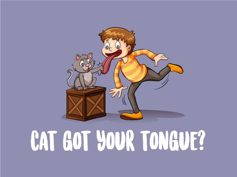 nghia cua thanh ngu cat got your tongue