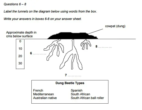 Cambridge English IELTS Past Papers